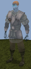 Ghostly guard outfit