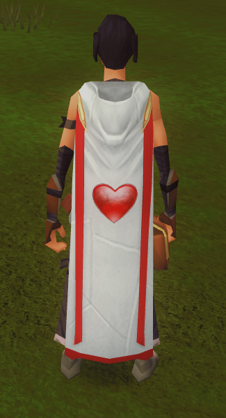 constitution%20skillcape%20(t).jpg