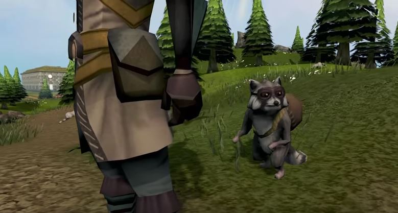 Thieving Raccoon