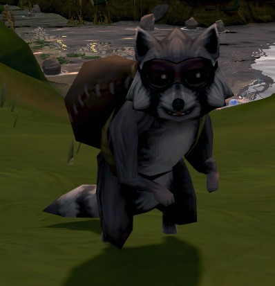 Thief Raccoon