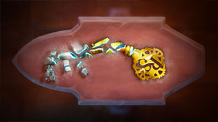 Le 19janvier 2026 marque le dbut d'une nouvelle re pour RuneScape ! Image