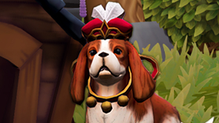 Programme de f�vrier et nouvelle qu�te Image