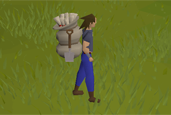 Master Clue Reward and Quality of Life Changes