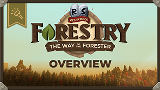 Axes at the ready – it’s time to talk Forestry!
