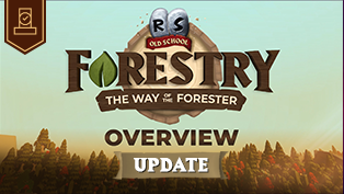 An Update On Forestry