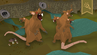 Today we’re diving into Varrock’s sewers for an audience with the new king of PvM combat…