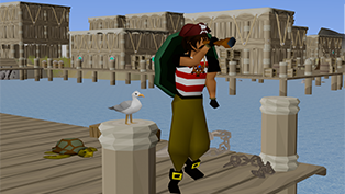 Sailing: Week One Feedback & Fixes Teaser Image