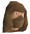 NPC Portrait