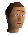 NPC Portrait