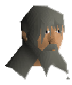 NPC Portrait
